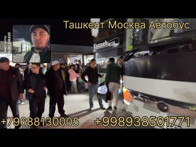 Ташкент Москва Автобус Катновлари