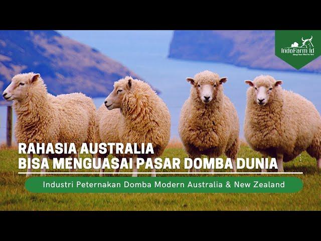 Australian and New Zealand Sheep Industry Dominates the Global Market