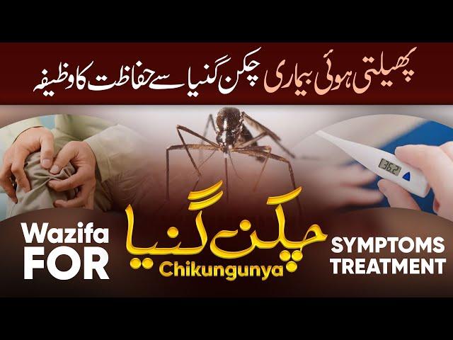 Chikungunya Virus Se Hifazat Ka Wazifa | Wazifa For Joint Pain | Rohani Ilaj Aur Istekhara