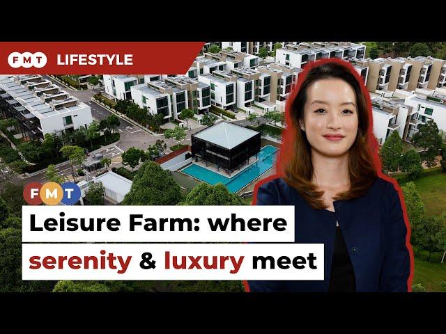 Leisure Farm: a tranquil haven for mind, body, and soul