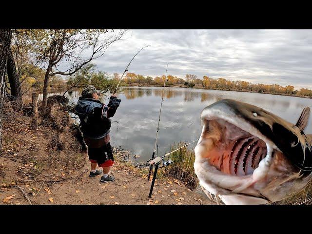 My Fishing Buddy Catches Big Catfish While Fall Catfishing!