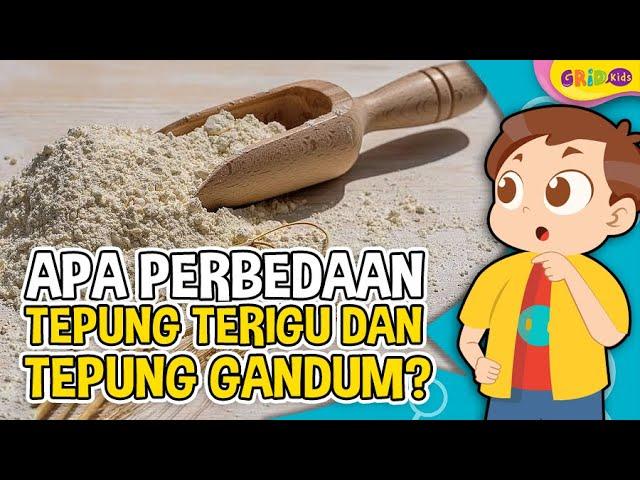 Apa Perbedaan Tepung Terigu dan Tepung Gandum - Fakta Menarik