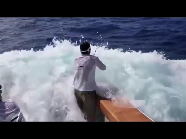 WHEN BACKING DOWN GOES TOO FAR... | Billfish TV 0103