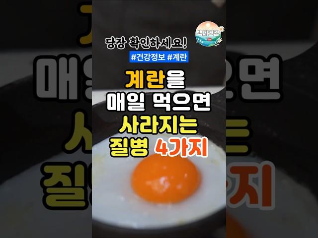 계란 매일 먹으면 사라지는 질병 4가지 #건강 #건강정보 #건강상식