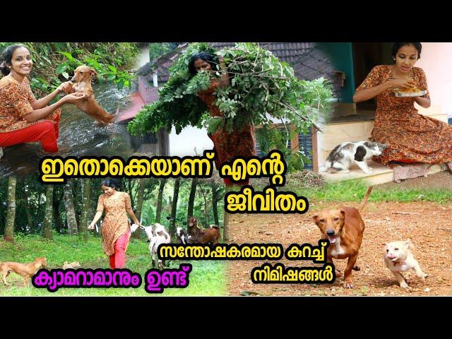 ഇതൊക്കെയാണ് എന്റെ ജീവിതം/എന്റെ ആട്,റോക്കി,റിമി,കാത്തുസന്തോഷകരമായ കുറച്ച് നിമിഷങ്ങൾ/Ammu simply life