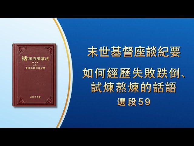 末世基督座談紀要《如何經歷失敗跌倒、試煉熬煉的話語》選段59