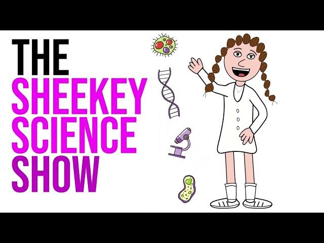 Welcome to The Sheekey Science Show.