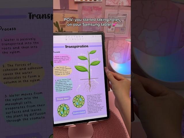 Digital note taking ️ Samsung galaxy tab S9+ | Penly android app | aesthetic study notes