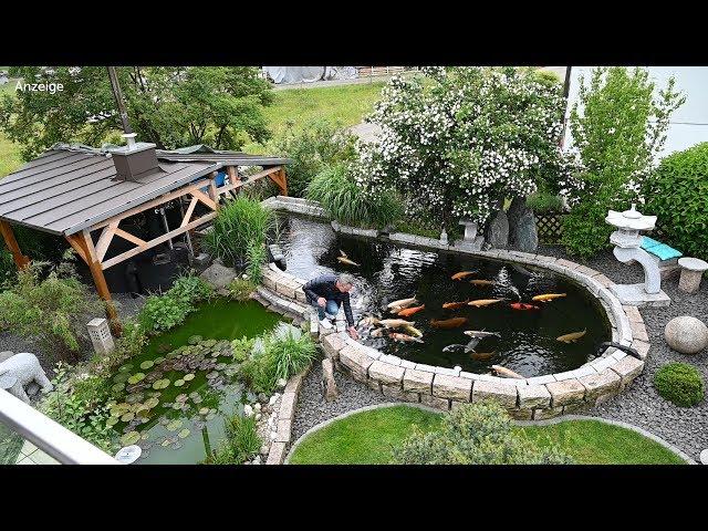 Modern Koi Blog #3890 - Christoph selbstgebauter 20.000 Liter Teich mit Traumwasser