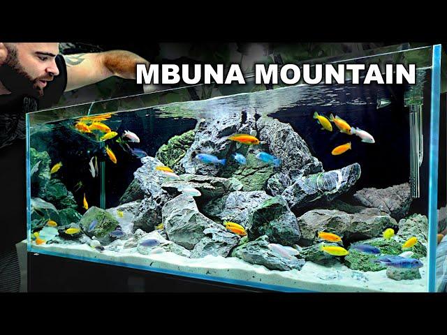 Mbuna Mountain: EPIC Cichlid 4ft Aquascape Tutorial