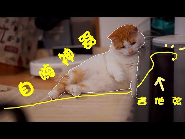 吉他6弦---猫咪自嗨神器【月半小辛巴】