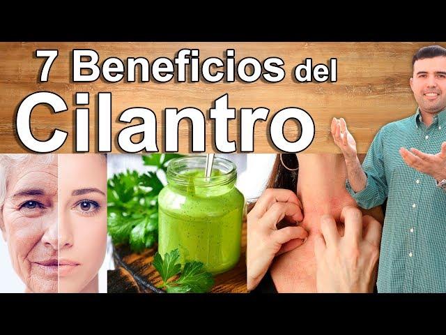 PARA QUE SIRVE EL CILANTRO PARA LA SALUD - Beneficios, Propiedades y Contraindicaciones del Cilantro