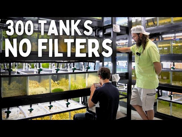 300+ Aquariums with NO FILTERS | In Depth Tour