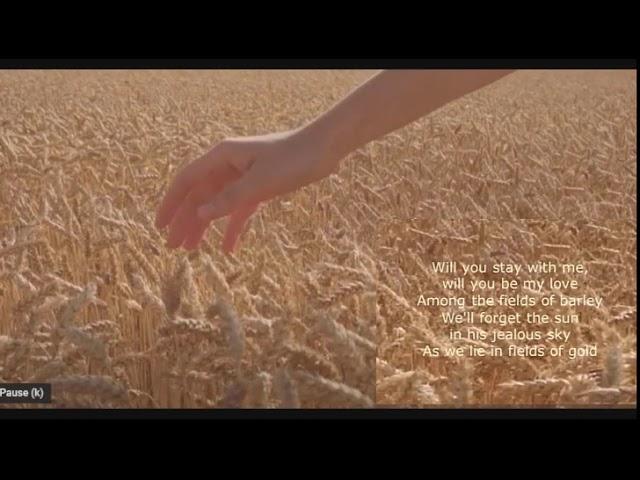 "Fields of Gold" by STING/Eva Cassidy (COVER by Clementine duo) -LYRICS
