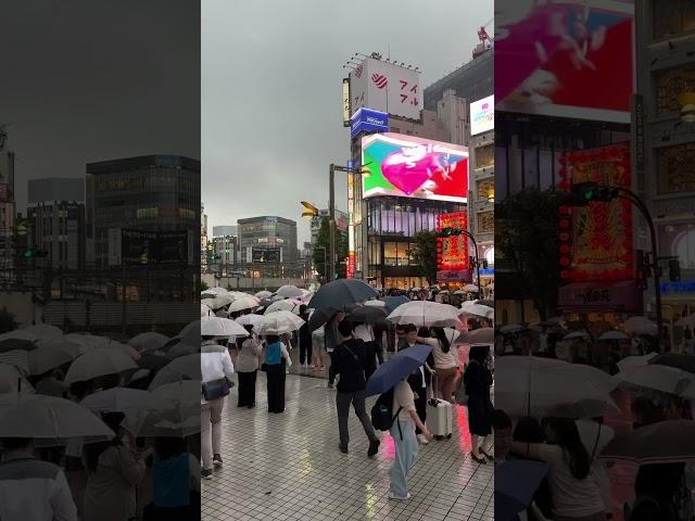 Raining Tokyo and giant cat