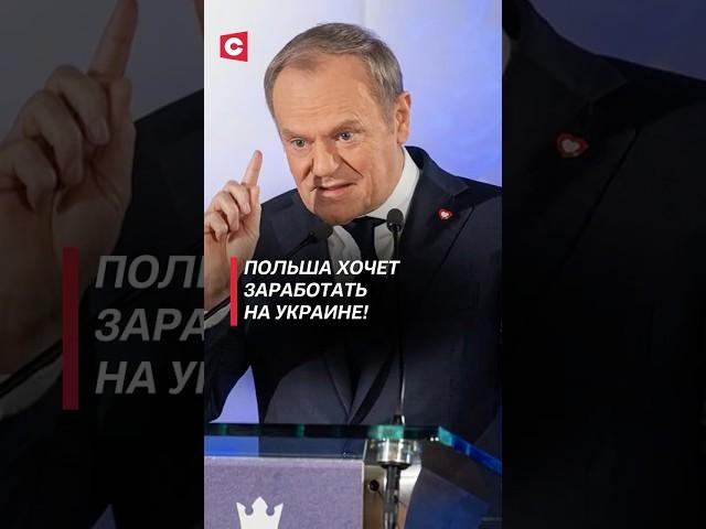 Польша хочет заработать на Украине! #украина #польша #туск #зеленский #война #сво #новости #политика