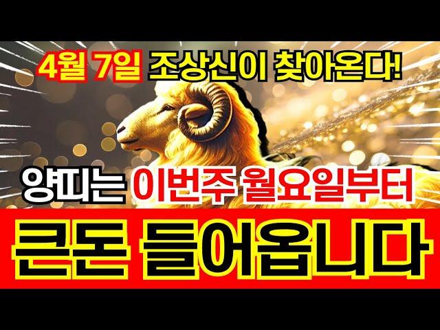 양띠는 안 보면 100% 후회합니다! 4월 7일 월요일부터 큰돈 들어와 인생이 달라집니다. 잡는것마다 금덩이로 변하는 '55년 67년 79년 91년 03년 43년생' 양띠운세