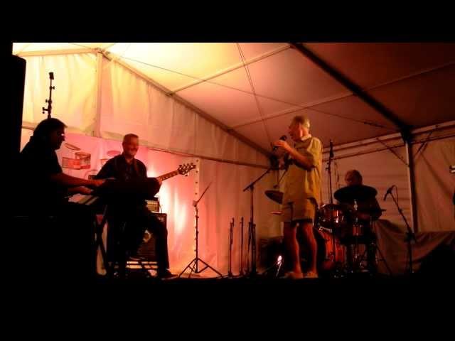 DAVID GAZAROV TRIO (+ GEORGIE FAME) - JAZZ KAMP KRANJ 2012 - 01