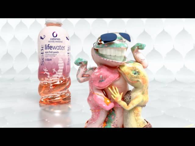 SoBelieve in Possibilities - 0 Cal SoBe Lifewater