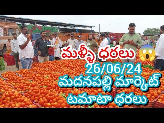 26/06/24 Madanapalle Tomato Market Price Today || Today Tomato Market Rate In Madanapalle #today