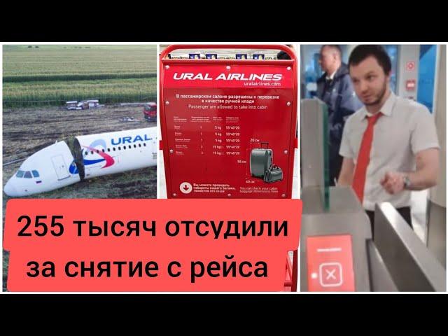 Ural Airlines paid 255,000 for removing a family from a flight. Interview after the trial