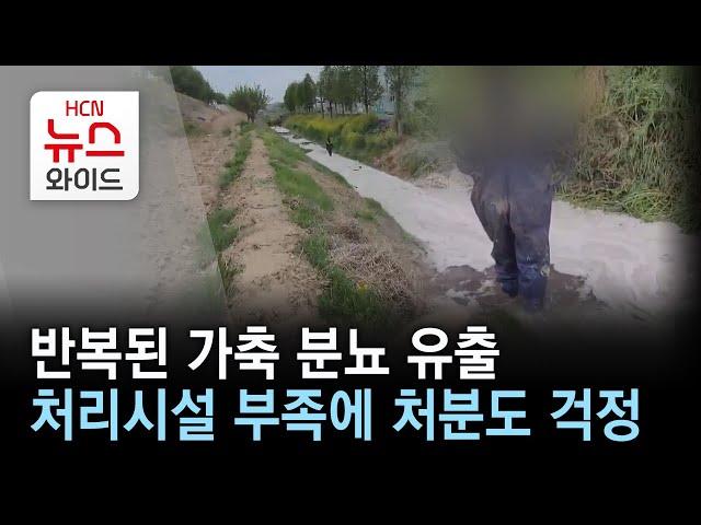 반복된 가축 분뇨 유출…처리시설 부족에 처분도 걱정/HCN 충북방송