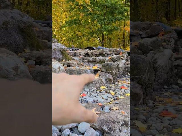 Recreational Pond Tour