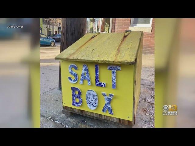 American Visionary Art Museum puts a spotlight on Baltimore's saltbox revival