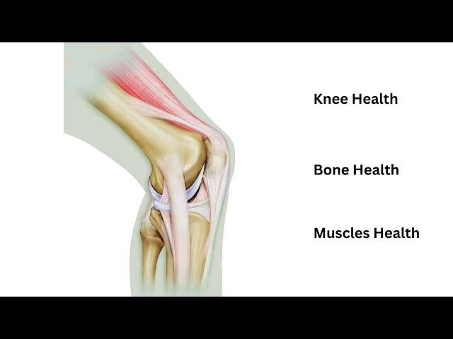 Knee Health Sub (get rid of knee pain )