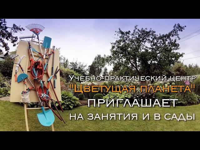 Цветущая планета приглашает на занятия и в сады