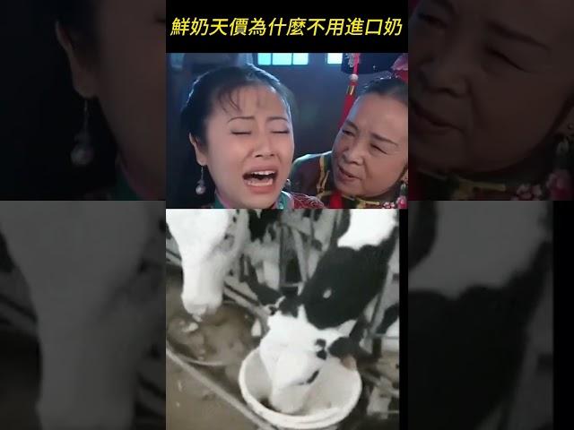 台灣鮮奶這麼貴，紐西蘭奶便宜，還零關稅了，為什麼不大量進口? #鮮奶 #鮮乳 #保久乳 #長效乳 #紐西蘭鮮乳
