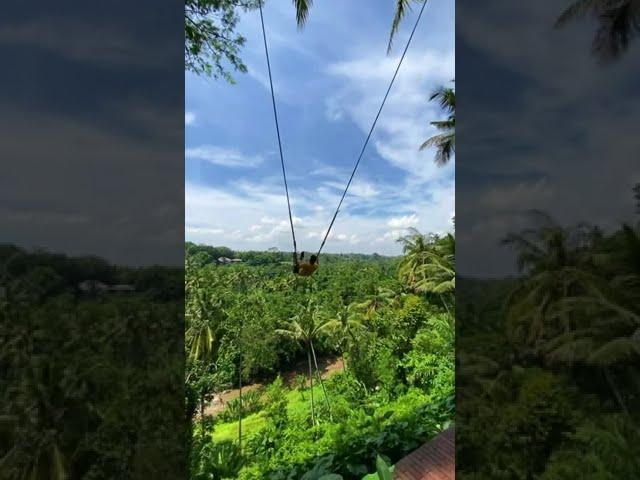 Travel |  Bali Swing, Ubud #shorts #travel #bali #baliswing #ubud