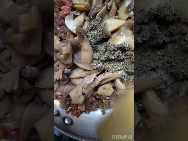 كيش بالكفتة والفطر