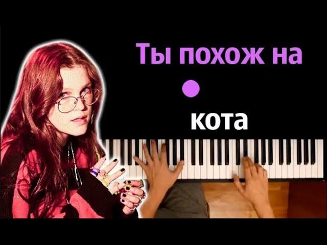  Хит TIkTok | zhanulka - ты похож на кота ● караоке | PIANO_KARAOKE ● ᴴᴰ + НОТЫ & MIDI