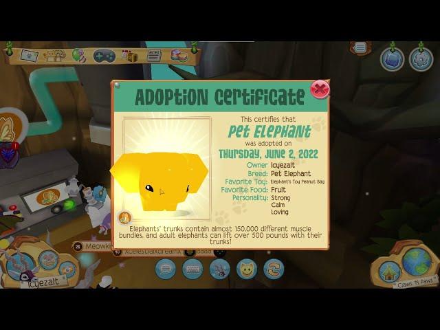 REDEEMING GOLDEN PET TOKENS | Super Box Golden Bundle Review | Animal Jam