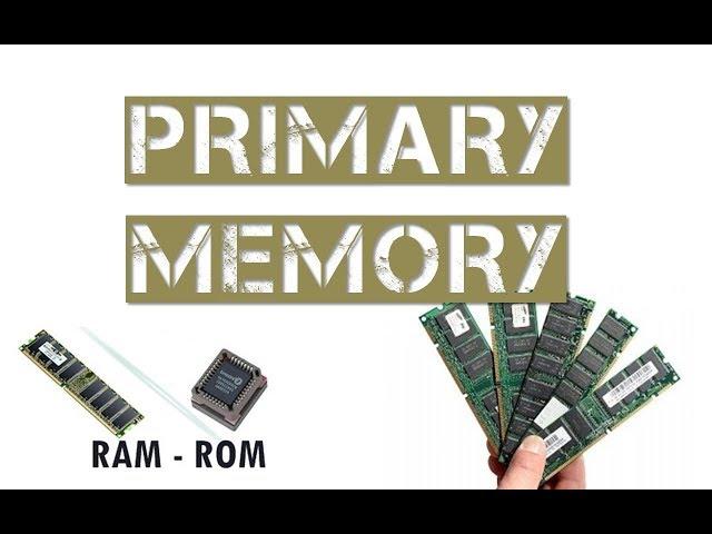 Primary Memory of Computer | Primary Storage | Learners Region