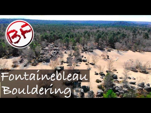 Fontainebleau Bouldering - Vlog #2 Boulder Freak