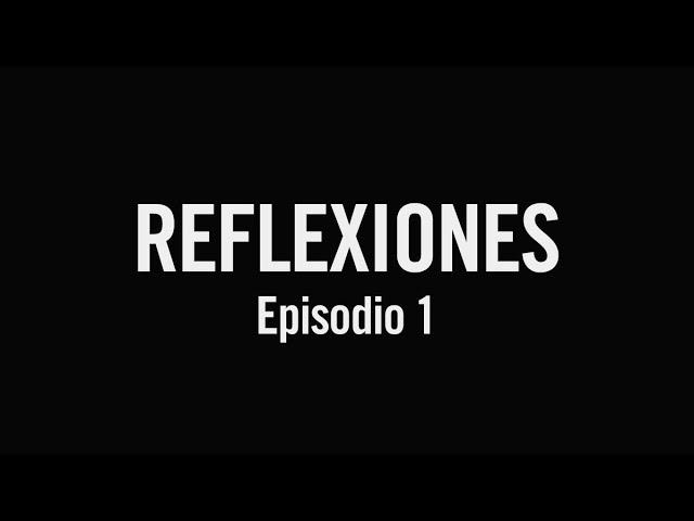 Reflexiones con la Incubadora Despegue