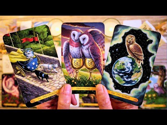 SOMEONE LOVES YOU, TOO AND WANTS TO TALK!!! ️ LOVE TAROT READING