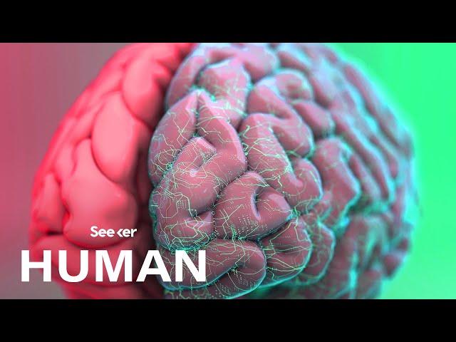 How Exactly Is the Human Brain Organized?