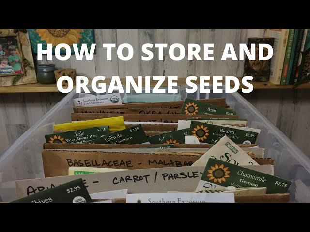 How to Store and Organize Seeds