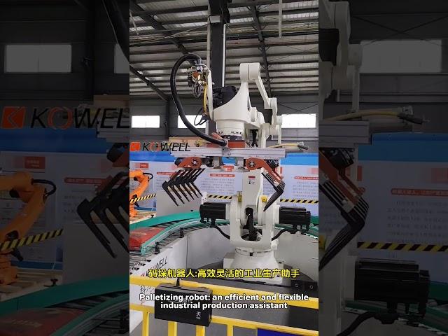 Palletizing robot: an efficient and flexible industrial production assistant#robotics #robot