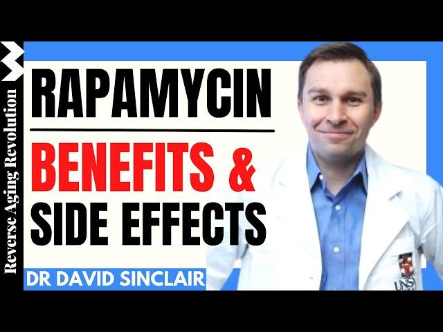 Rapamycin | Dr David Sinclair Interview Clips