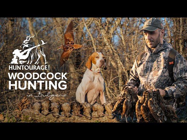 Woodcock Hunting in Bulgaria Over English Pointer | Caccia Alla Beccaccia in Bulgaria