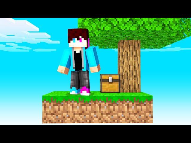 Ik Speel SKYBLOCK In MINECRAFT!