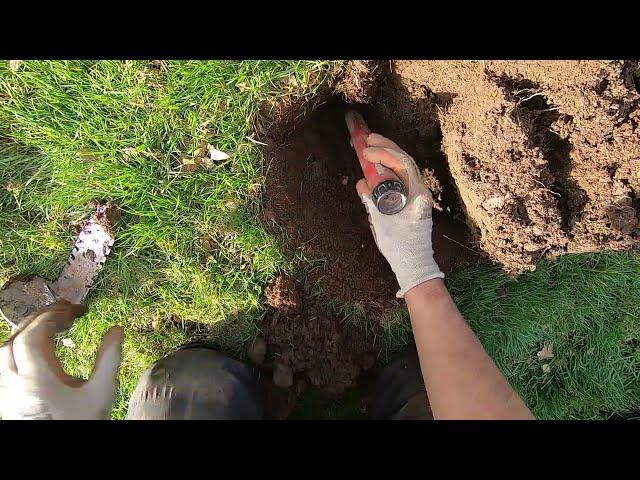LIVE DIG ACTION!! One of my favorite moments this year. Nokta Legend in the challenging park.