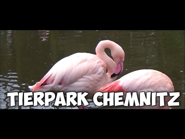 Tierpark Chemnitz