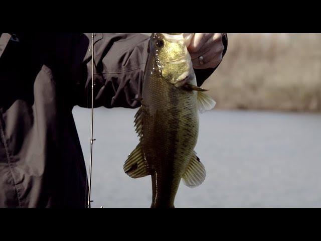 Sam Rayburn Reservoir Bass Fishing on Bass Pro Shops Fisherman's Handbook