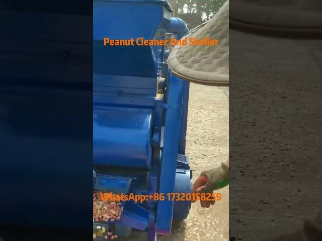 Peanut Cleaner And Sheller: Effortlessly Cleans And Separates Groundnuts From Their Shells#peanut