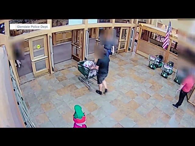 Valley man accused of stealing ammunition from Bass Pro Shops in covered baby carrier